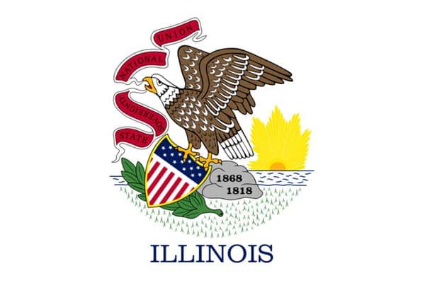 Surrogacy in Illinois